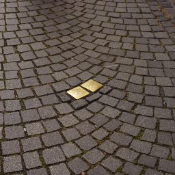 <span style="color: #55d6d2;"> Stolpersteine NRW – Gegen das Vergessen </span>